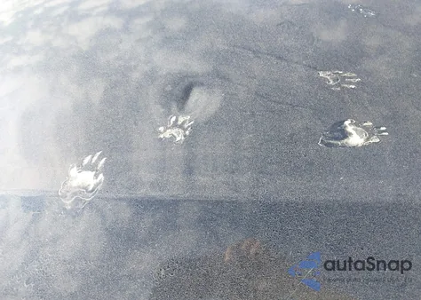 2006 BMW 325I I from USA, damaged, VIN WBAVB13596KX48866